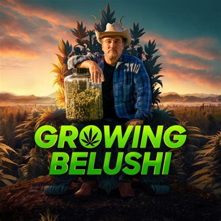 Who Is Chris Karakosta On Growing Belushi?
