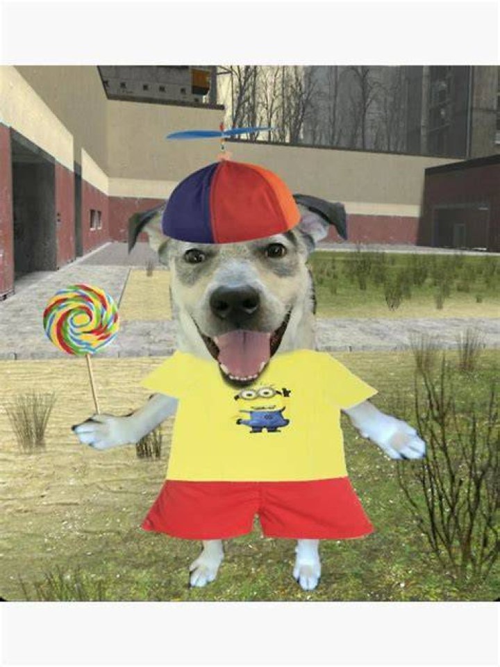 Who is Dumbdog? Twitch, Apollo, Twitter, Face, Real Name, Wiki, Biography