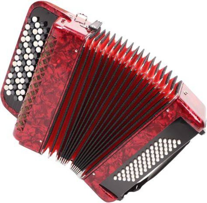 Who Is Joey Schmidt? Everything To Know About The Accordion Player