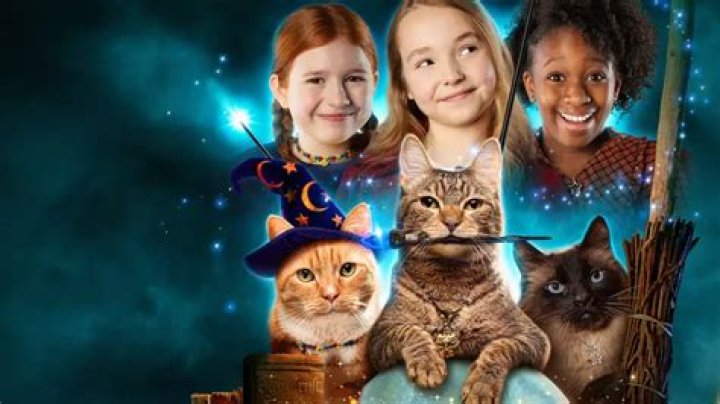 Who Is Michael Teigen? Everything To Know About The Actor From The Netflix Series Scaredy Cats