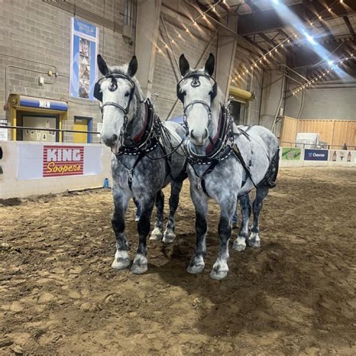 Who Is Xavier DuSell And How Old Is He? A Look At Wyoming Cowboys Shooting Guard’s Personal Life