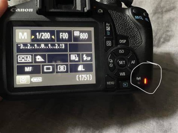 Why does my canon camera say exp sim