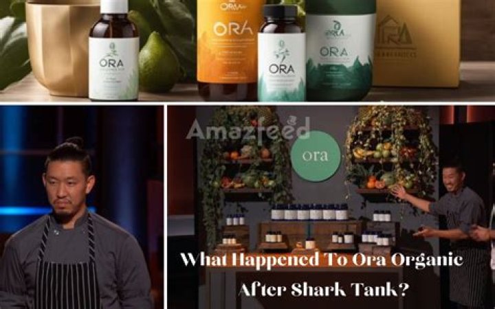 Will Smelko Net Worth: How Much Is Ora Organic CEO Worth?