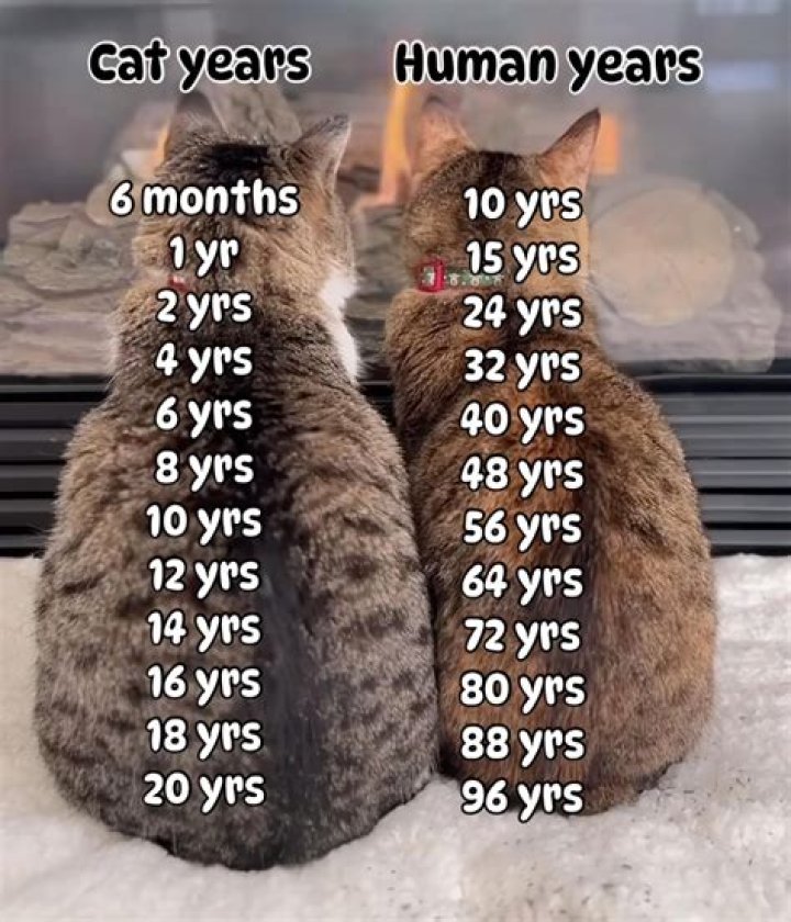 Yoatzi Castro Age: How old is Yoatzi Castro?