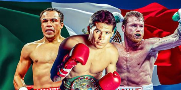 Zulina Munoz Boxing Records And Net Worth- Career Details On The Mexican Boxer